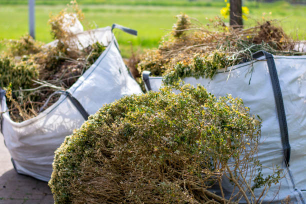 Best Demolition Debris Removal  in Walkerton, IN